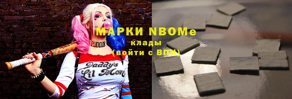 PSILOCYBIN Кедровый
