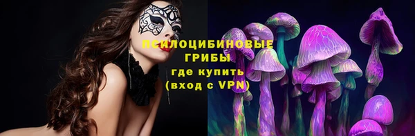 крисы Белокуриха
