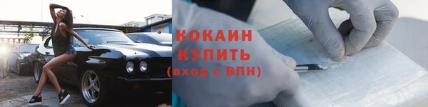 крисы Белокуриха
