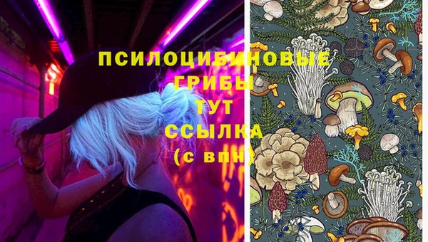 дживик Беломорск