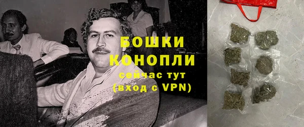 крисы Белокуриха