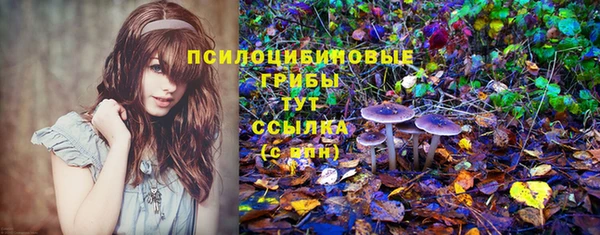 дживик Беломорск