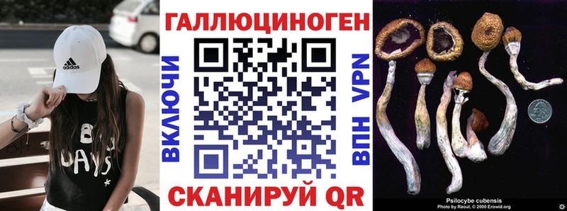 купить наркотики сайты  Очёр  Псилоцибиновые грибы MAGIC MUSHROOMS 